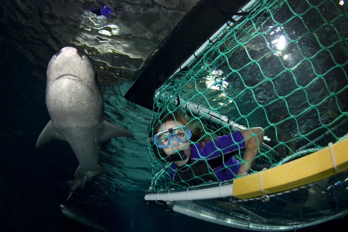 Two Column Image Text