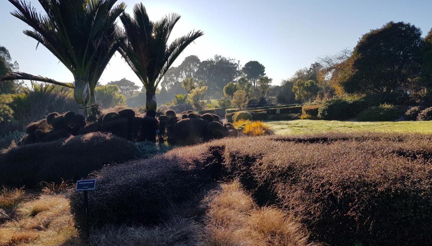 Auckland Botanic Gardens, Manukau, Auckland