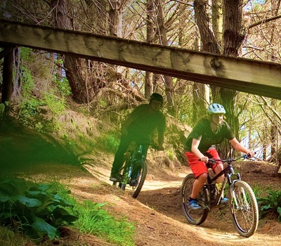 Fourforty   Mountain   Bike Park