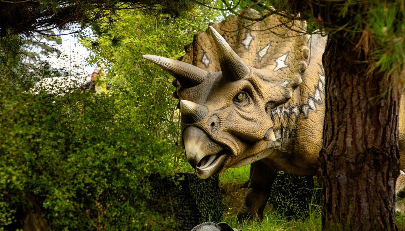 More than 50 huge Dinos in Dinosaur Kingdom