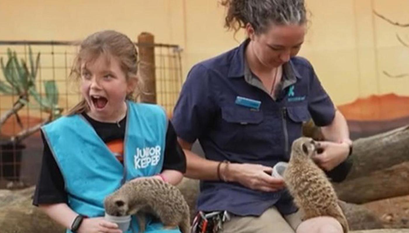 Junior Keeper and Private Encounters