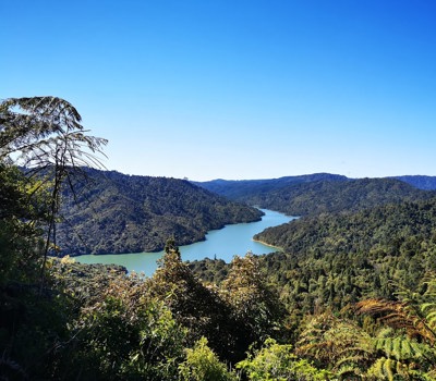 Moumoukai  Farm Loop