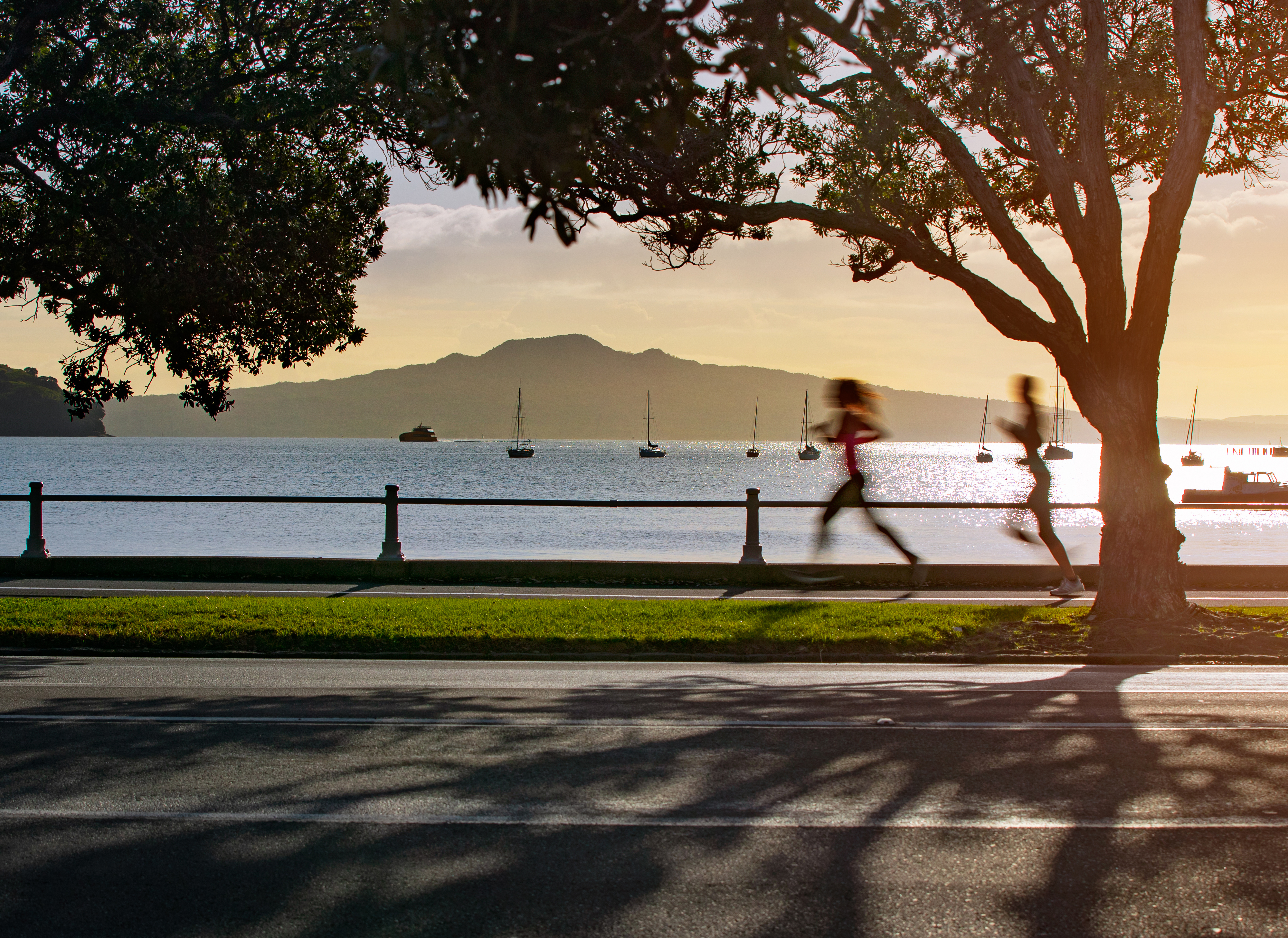 <span class='hyphen-text'>Explore Tāmaki Drive from SEA LIFE Kelly Tarlton's</span>