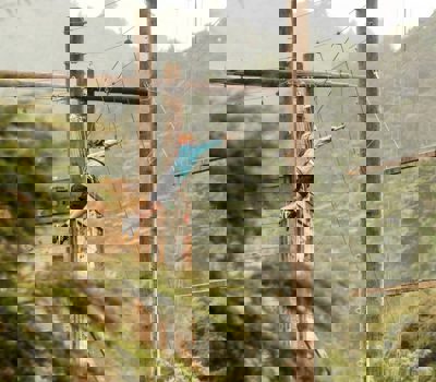 Kokako Lodge - Outdoor Education and Accommodation in Auckland