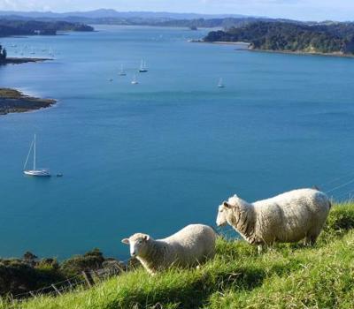 Mahurangi Regional Park