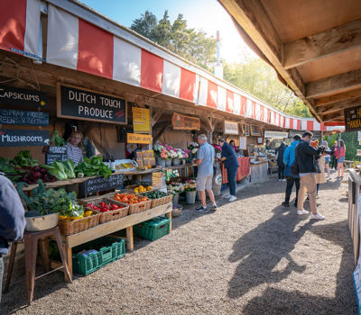 Labour Weekend  2024 in Auckland
