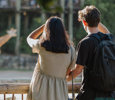 Te Pō Hono Zoo Lates