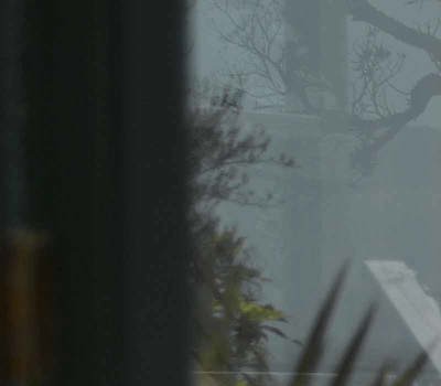 Bethells  Beach  Cottages