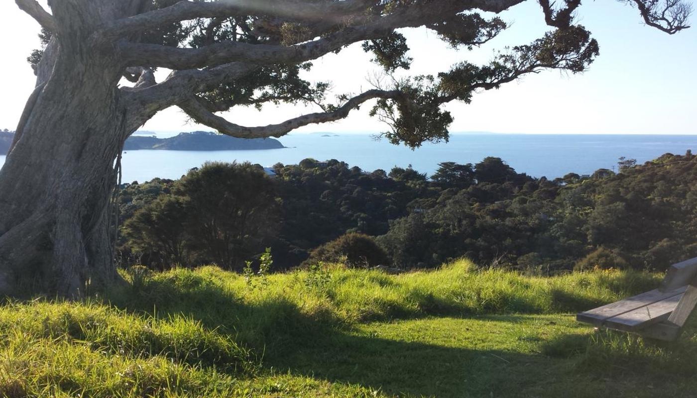 Pohutakawa tree ridge