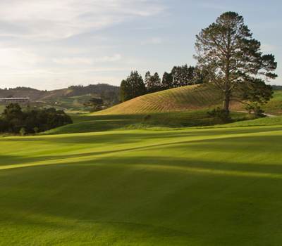 Wainui  Golf Club