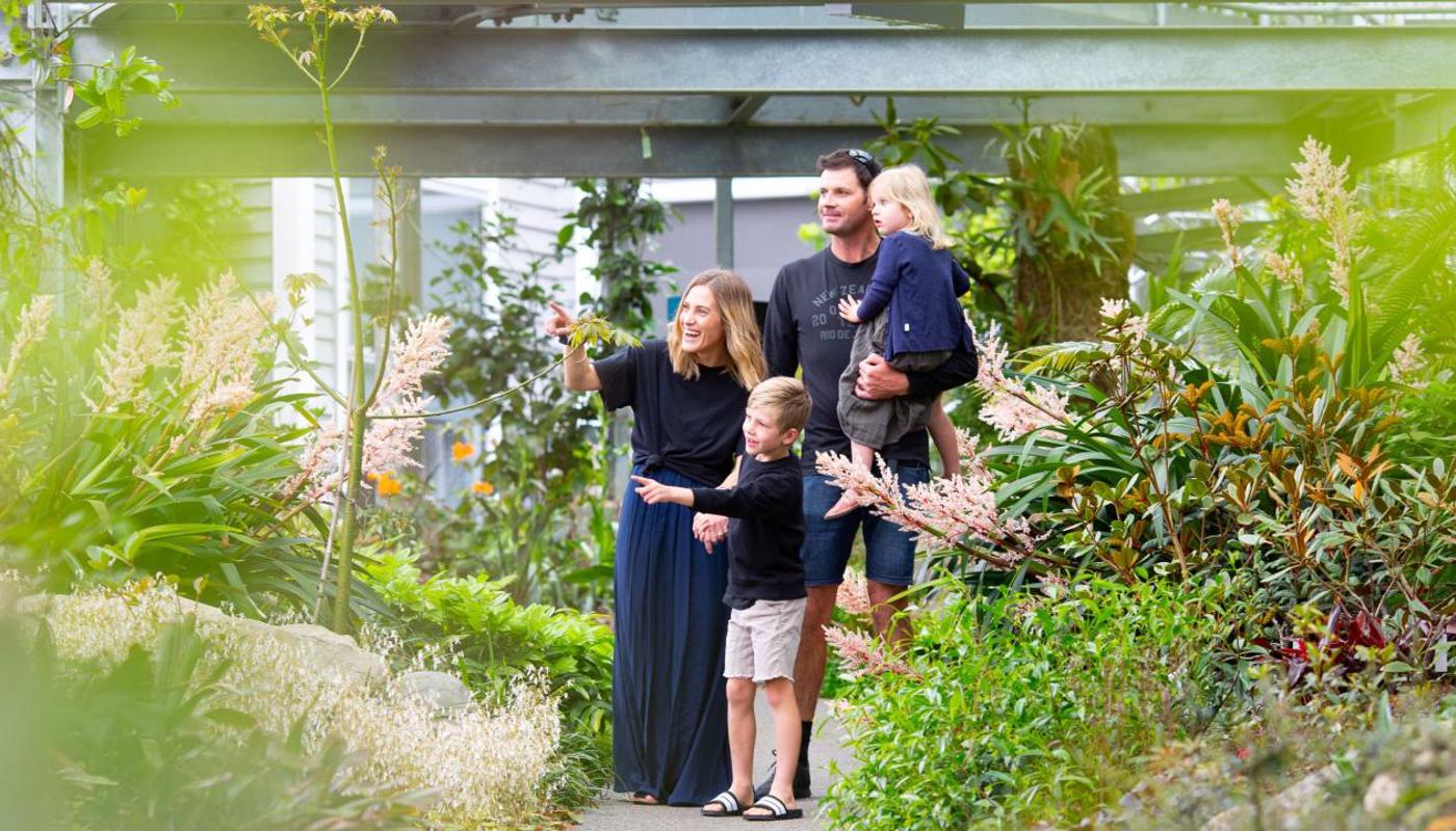 Pukeiti, New Plymouth, Taranaki