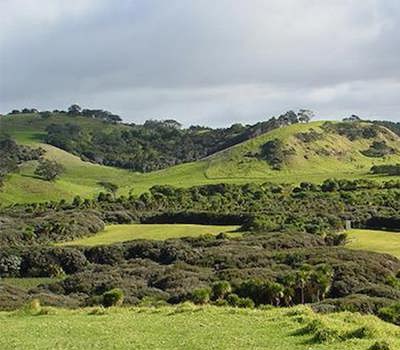 Tāwharanui campground