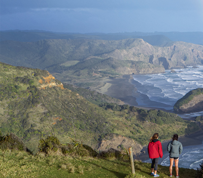 Te Henga   Walkway  