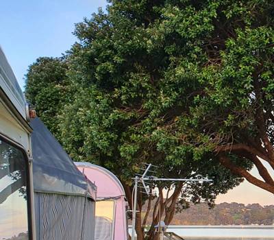 Whangateau  Holiday  Park